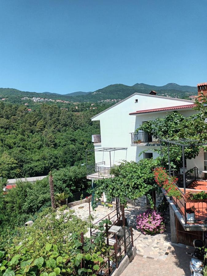 Apartments Branka Іка Екстер'єр фото